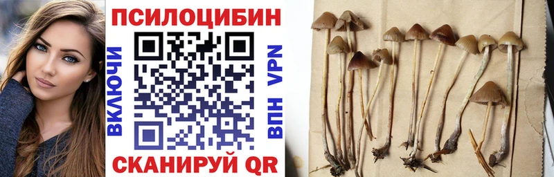 Галлюциногенные грибы Magic Shrooms KRAKEN Куйбышев