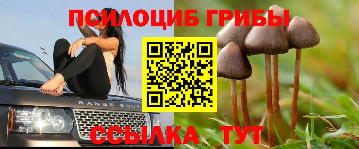 Псилоцибиновые грибы Magic Shrooms Куйбышев
